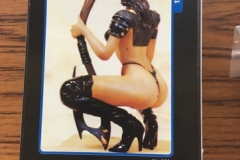 Picture6
