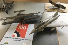 RAF 100-1
