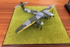 Mick - Westland Whirlwind
