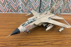Steve - Tornado