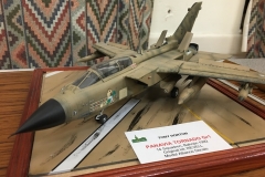 Tony - Panavia Tornado GR.1
