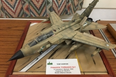 Tony - Panavia Tornado GR.1