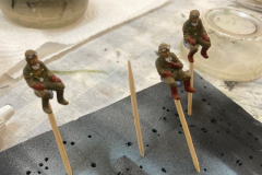 wip-5