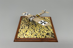 Fokker Eindekkor