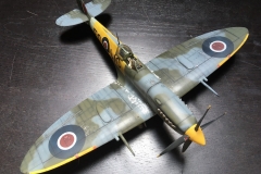 Nick-SpitFin1