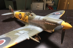 Nick-SpitFin2