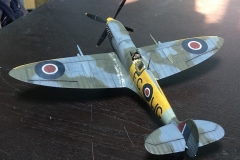 Nick-SpitFin6