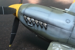Nick-SpitFin7