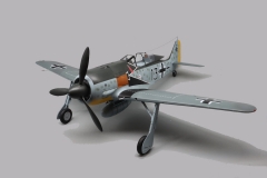 Ray1