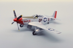 Mustang P51D