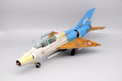 Mikoyan-Gureuich MiG21um Mongul